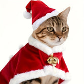 Pet Christmas Costume Set (2 Pack) – Hat & Cape for Cats and Small Dogs - AURISTEN