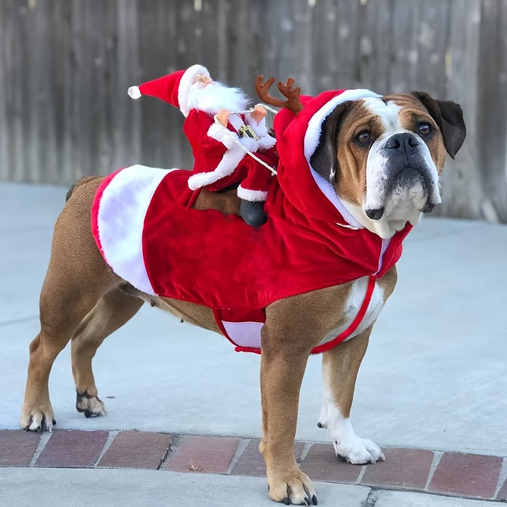 Extra - Large Dog Santa Costume – Soft, Durable & Easy Snap - On – Christmas Outfit for Pets - AURISTEN