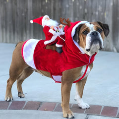 Extra - Large Dog Santa Costume – Soft, Durable & Easy Snap - On – Christmas Outfit for Pets - AURISTEN