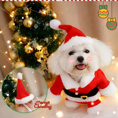Funny 3D Santa Claus Dog Costume – Winter Christmas Pet Outfit - AURISTEN
