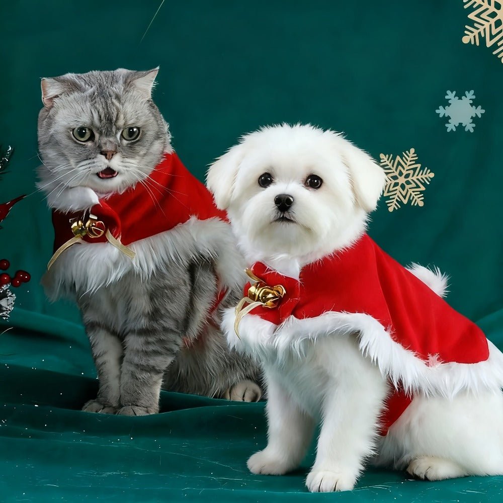 Pet Christmas Costume Set (2 Pack) – Hat & Cape for Cats and Small Dogs - AURISTEN
