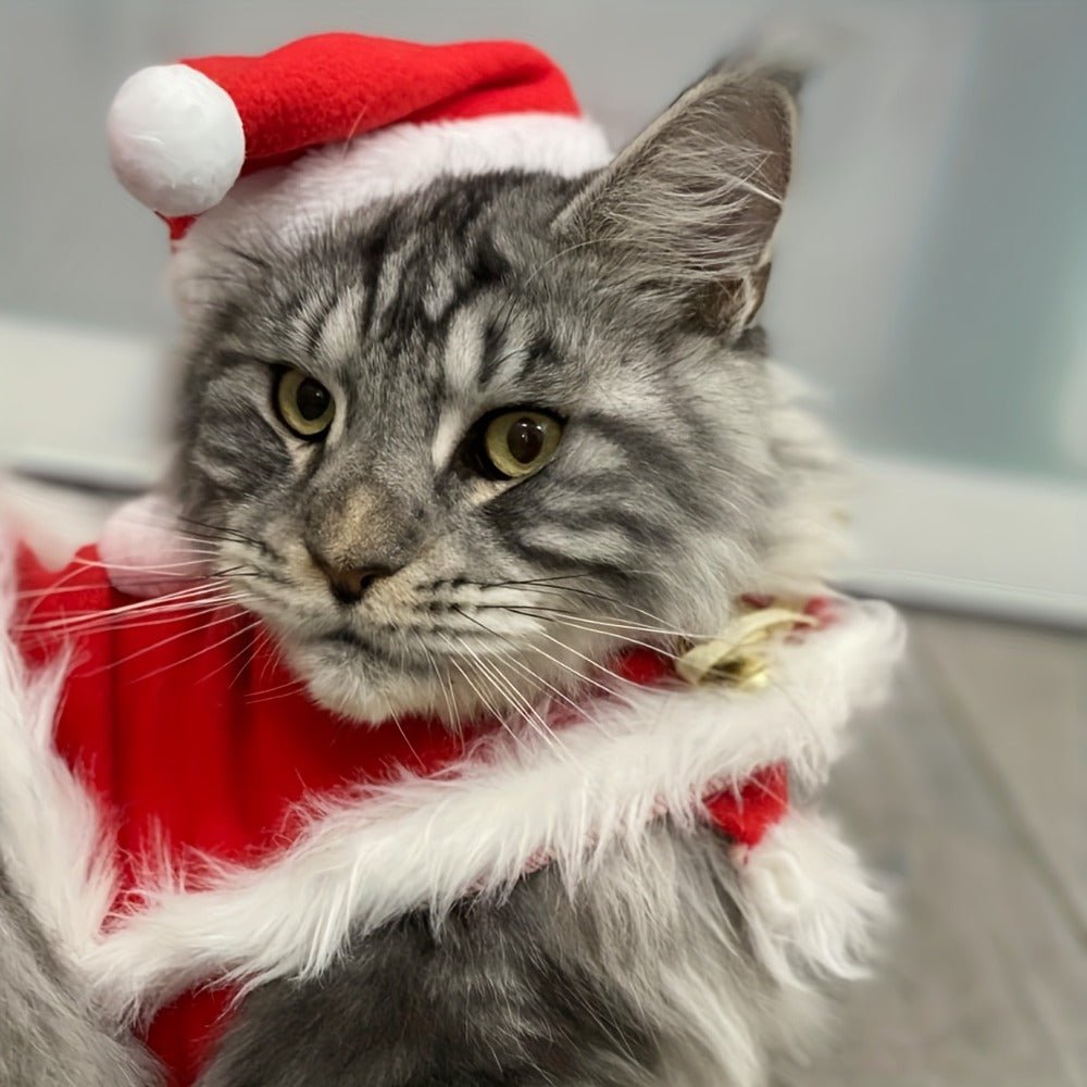 Pet Christmas Costume Set (2 Pack) – Hat & Cape for Cats and Small Dogs - AURISTEN